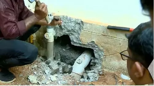 ഒരേവലിപ്പമുള്ള പാമ്പുകൾ, ഇതുവരെ പിടിയിലായത് 5 എണ്ണം;മരിച്ച  ആൽജോയുടെ വീടിന്റെ തറപൊളിച്ച് പരിശോധന