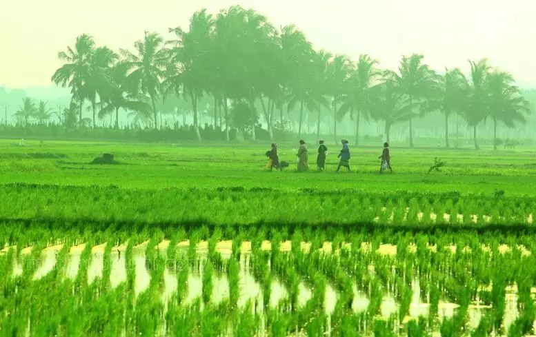 ഞാറ്റുവേല എന്നാലെന്ത് ?